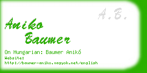 aniko baumer business card